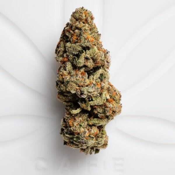 Buy Candyland Strain Online