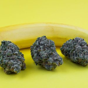 Chiquita Banana