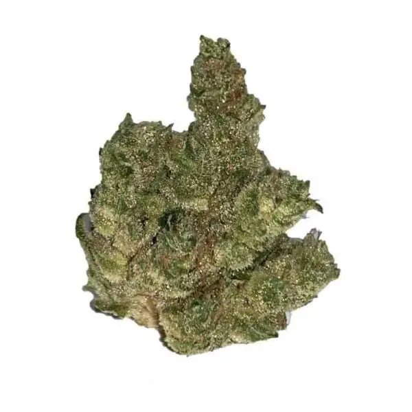 Chiquita Banana strain