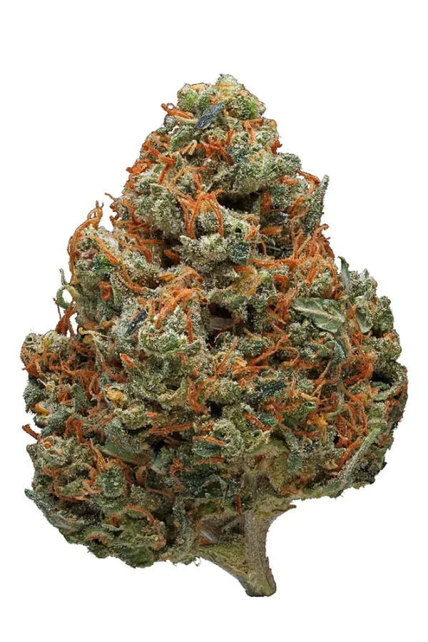 Durban Poison