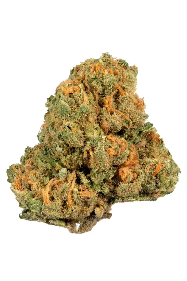 Jack Herer