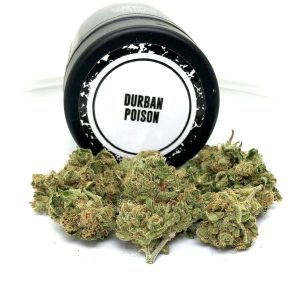 Durban Poison