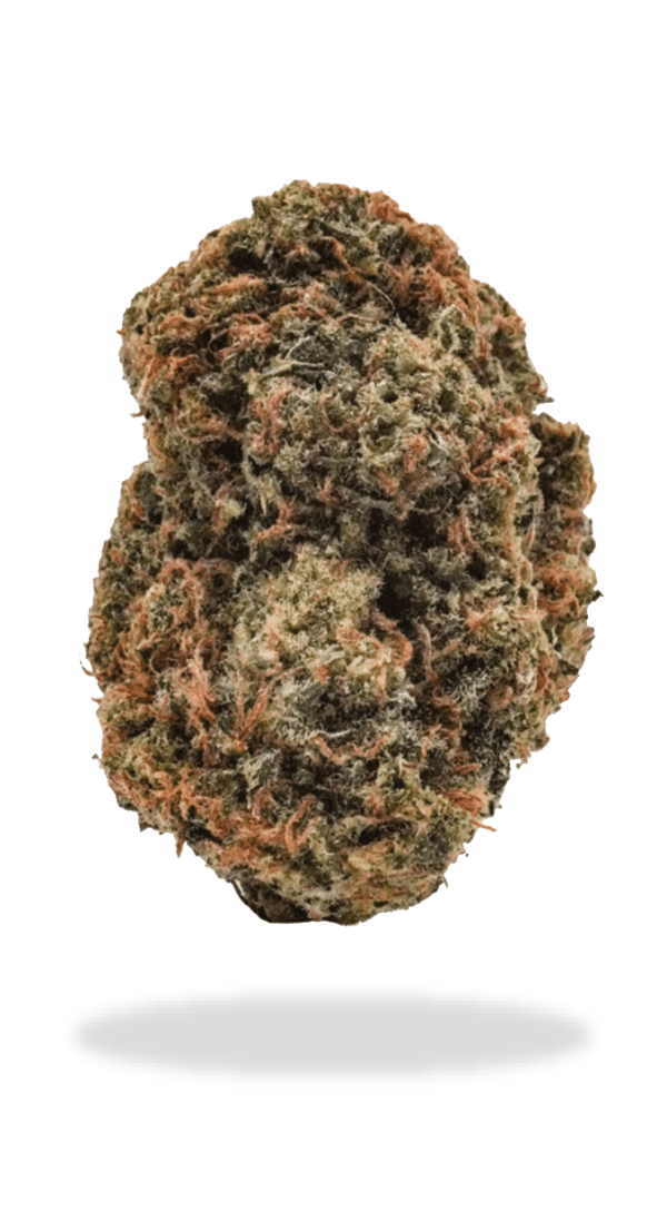 Super Lemon Haze - Image 2