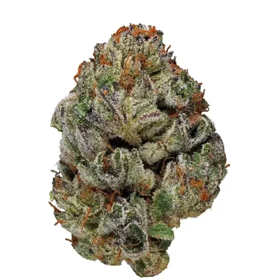 Close-up of Birthday Cake cannabis buds showing frosty trichomes and bright orange hairs on a plain white background.