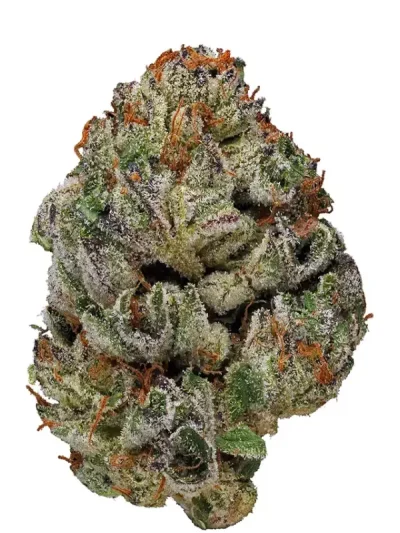 Close-up of Birthday Cake cannabis buds showing frosty trichomes and bright orange hairs on a plain white background.