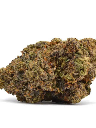 Close-up of Biscotti cannabis buds displaying its dense structure, frosty trichomes, and hints of purple on a clean white background.