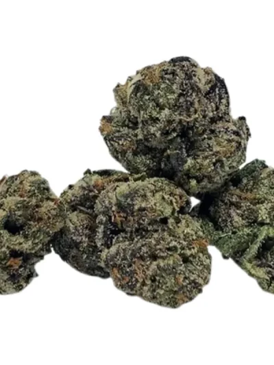 Close-up of Black Runtz cannabis buds showing dark purple hues, frosty trichomes, and vibrant orange hairs on a clean white background.
