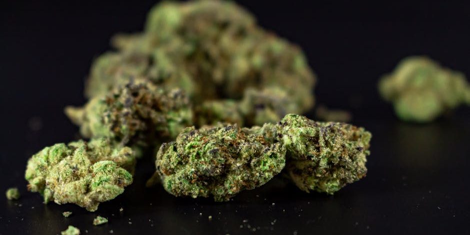 black-runtz-weed black runtz weed