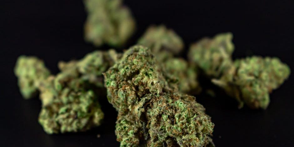 black-weed-strain black weed strain