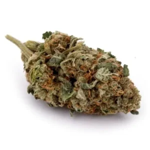 Premium Blackberry Kush cannabis buds with frosty trichomes, deep purple and green hues, and orange pistils, displayed on a clean white background.
