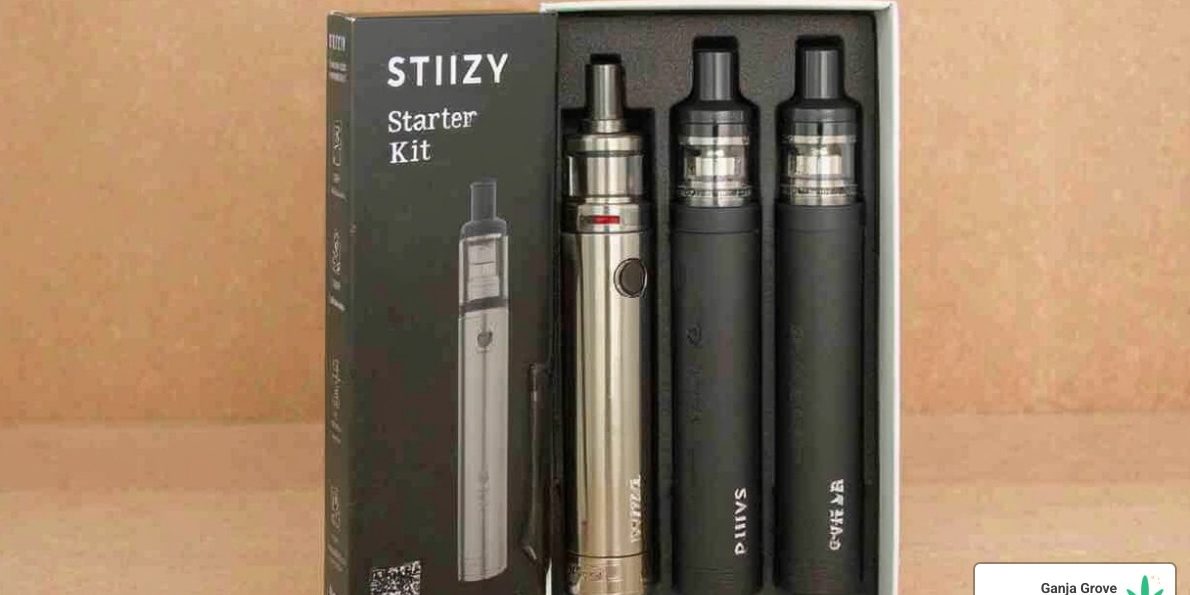Buy STIIIZY Premium Vaporizer Starter Kit Online