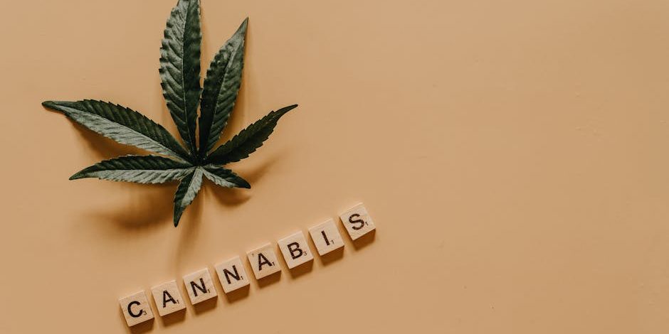 Cannabis education programs