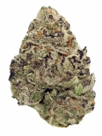 Close-up of Cereal Milk cannabis buds showing its dense, frosty texture and light green hues with orange pistils on a clean white background.