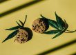 edible thc dosage mg