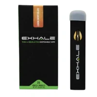 THC Liquid Diamond Disposable Vape - 2g of Pure THC Power