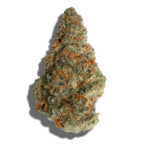 A close-up of Gelonade cannabis buds displaying frosty trichomes, light green hues, and hints of orange pistils on a clean white background.