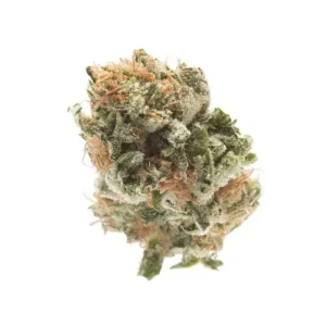 Dried Godfather OG cannabis buds with frosty trichomes, dense green tones, and vibrant orange pistils, displayed on a white background.