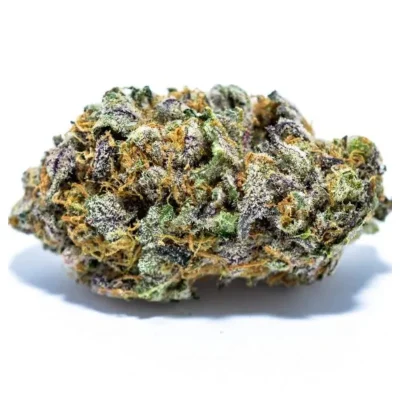 Resin-coated Granddaddy Purple cannabis buds with deep purple and green hues, frosty trichomes, and bright orange pistils, displayed on a clean white background.