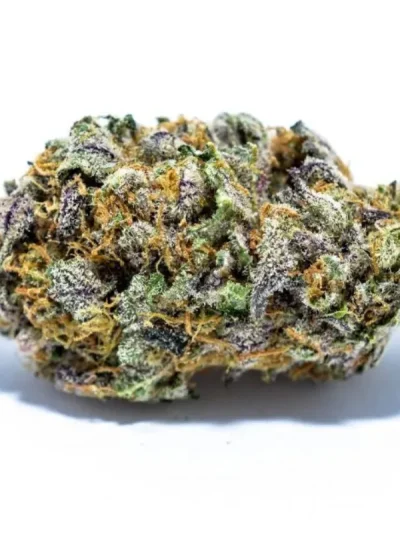Resin-coated Granddaddy Purple cannabis buds with deep purple and green hues, frosty trichomes, and bright orange pistils, displayed on a clean white background.