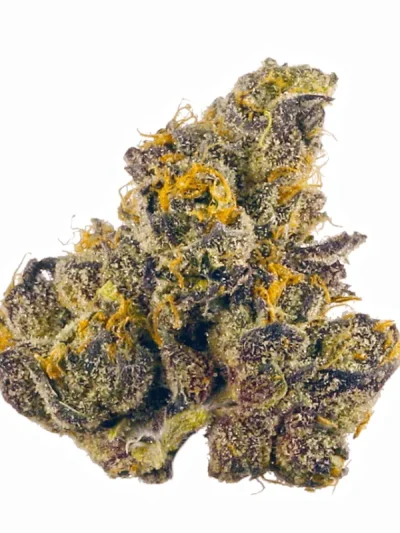 Close-up of Gush Mints cannabis buds showcasing frosty trichomes, rich green colors, and light purple hues on a clean white background.