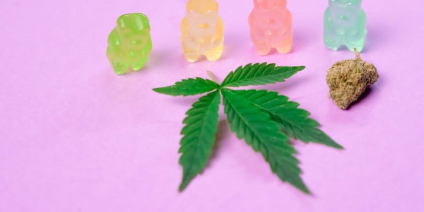 how to tell if a gummy is indica or sativa