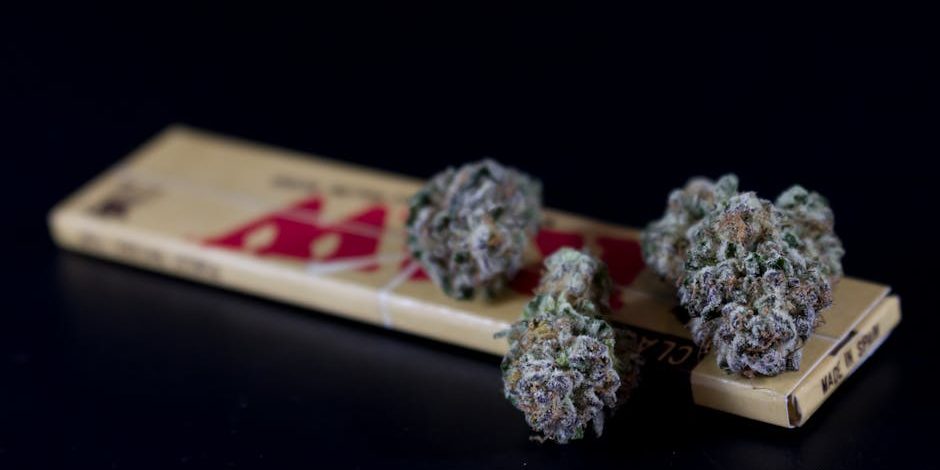 indica-strains-for-creativity Indica strains for creativity