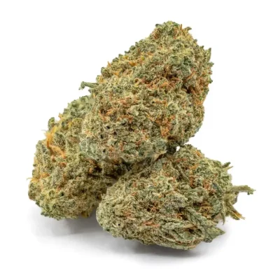 Close-up of Kush Mints cannabis buds with frosty trichomes, dark green leaves, and hints of light orange pistils on a clean white background.