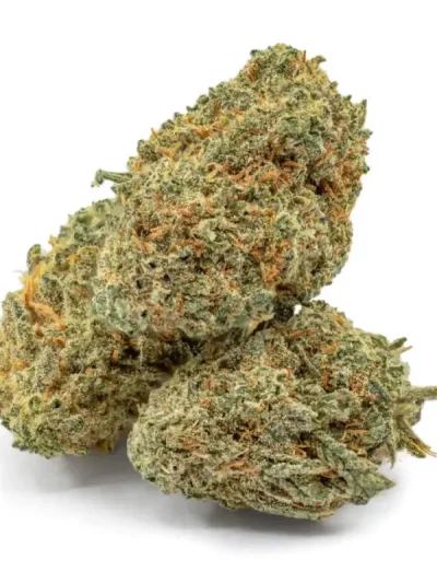 Close-up of Kush Mints cannabis buds with frosty trichomes, dark green leaves, and hints of light orange pistils on a clean white background.