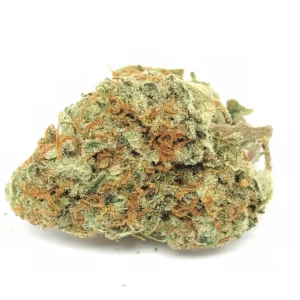 Detailed view of Lemon Haze cannabis buds with frosty trichomes, bright green colors, and fiery orange pistils, displayed against a plain white background.