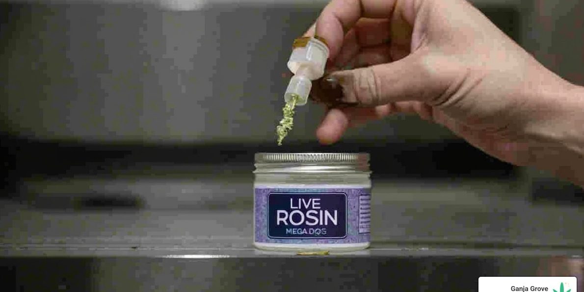 live rosin mega dose delta 9 thc 250mg