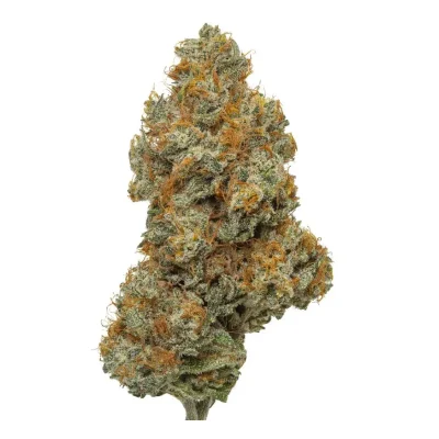 Frosty Northern Lights cannabis buds with bright green and orange hues, covered in trichomes, displayed on a clean white background.