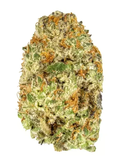 Close-up of Oreoz cannabis buds covered in frosty trichomes with dark green and purple tones, accented by bright orange pistils on a white background.
