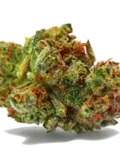 Close-up of dried Sour Diesel cannabis flowers, featuring frosty trichomes, light green tones, and a scattering of orange pistils on a white background.