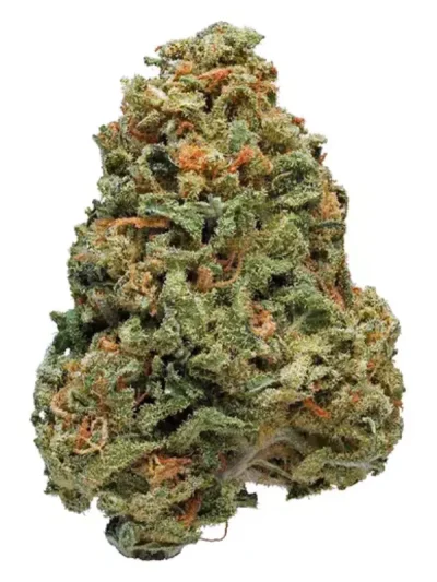 Close-up of dried Sour Dream cannabis buds with frosty trichomes, bright green tones, and scattered orange pistils on a plain white background.
