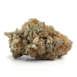 Close-up of Strawberry Cough cannabis buds with frosty trichomes, deep green hues, and vibrant orange pistils, set against a plain white background.