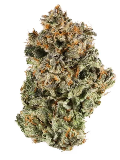 Dried Sunset Sherbet cannabis buds with frosty trichomes, light green tones, and subtle purple and orange accents on a clean white background.