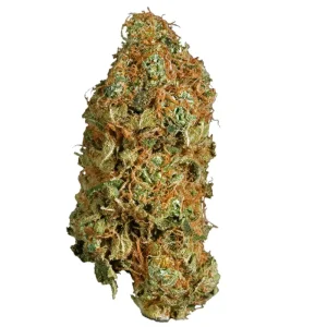 Close-up of Super Jack cannabis flowers with bright green colors, orange pistils, and a frosty layer of trichomes, displayed on a clean white background.