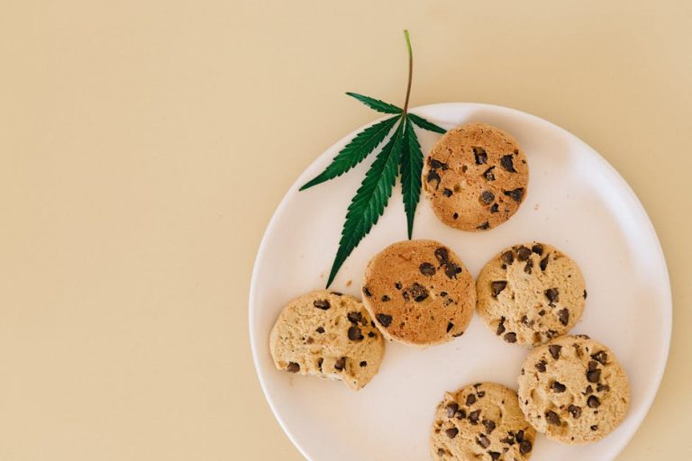 THC edibles for beginners