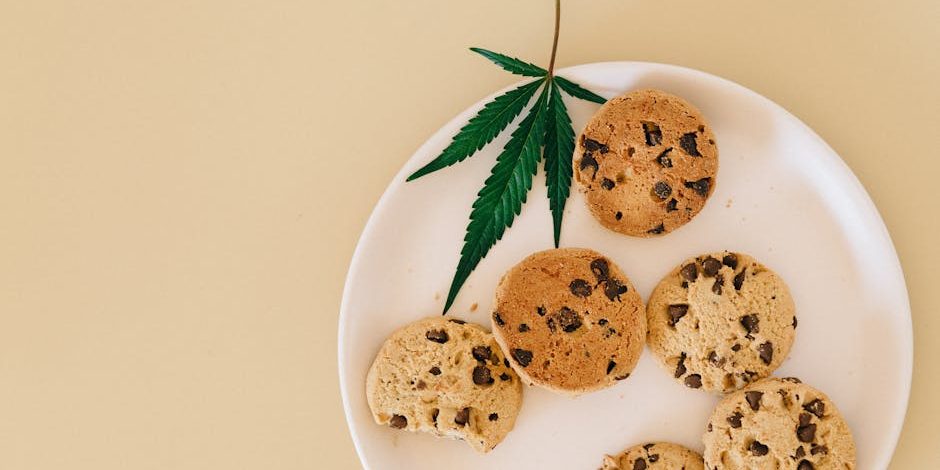 THC edibles for beginners