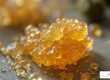 live sugar thca