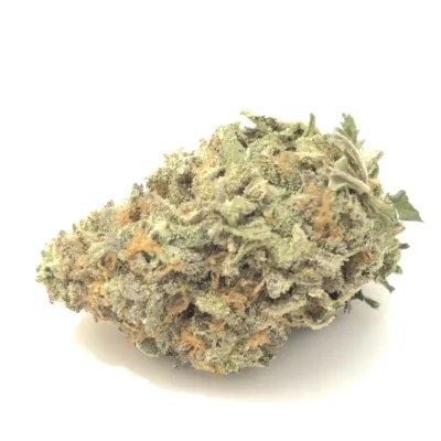 Dried Trainwreck cannabis buds with frosty trichomes, bright green colors, and vivid orange pistils, displayed on a white background.