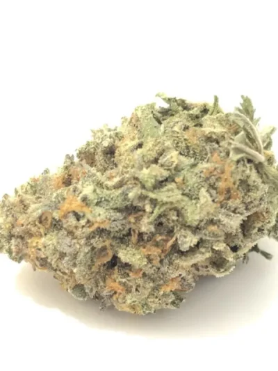 Dried Trainwreck cannabis buds with frosty trichomes, bright green colors, and vivid orange pistils, displayed on a white background.