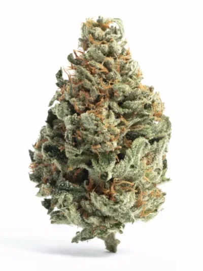 Dried Tropical Runtz cannabis buds featuring frosty trichomes, vibrant green tones, and subtle hints of purple and orange, displayed on a white background.