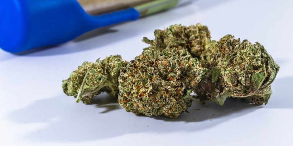 unpacking-runtz-weed-the-strain-everyones-talking-about runts weed