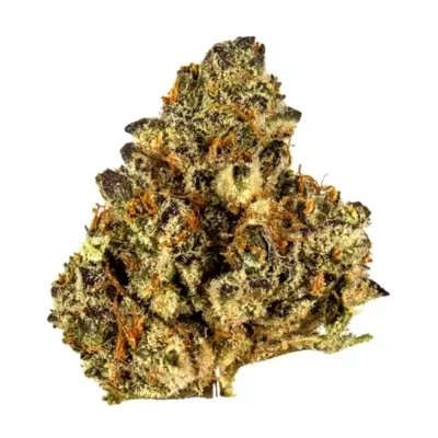 Dried Wedding Pie cannabis buds with frosty trichomes, deep green and purple hues, and orange pistils, displayed on a clean white background.