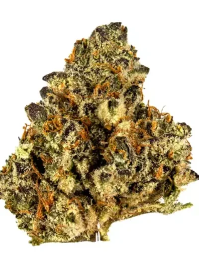 Dried Wedding Pie cannabis buds with frosty trichomes, deep green and purple hues, and orange pistils, displayed on a clean white background.