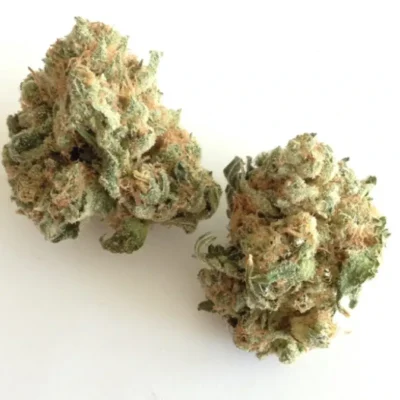 Dried White Widow cannabis buds with frosty trichomes, light green tones, and orange pistils, displayed on a clean white background.