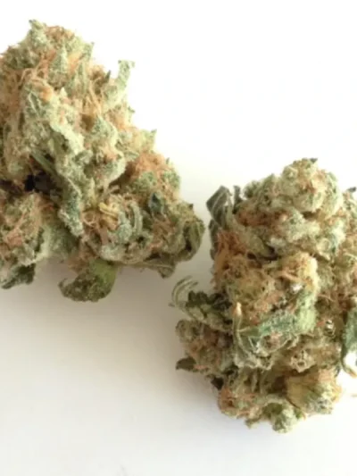 Dried White Widow cannabis buds with frosty trichomes, light green tones, and orange pistils, displayed on a clean white background.