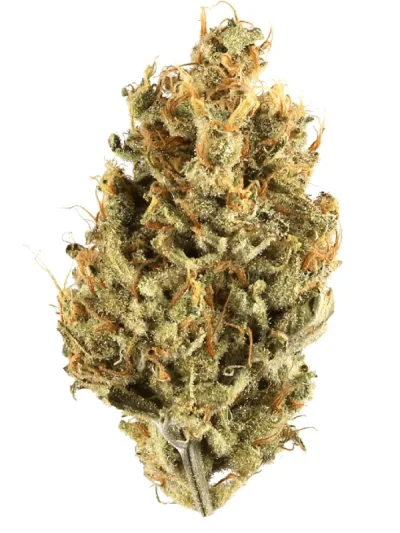 Dried Wookies cannabis buds with frosty trichomes, dense green tones, and subtle purple hues, displayed on a clean white background.