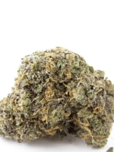 Dried Zoap cannabis buds with frosty trichomes, vibrant green and purple hues, and orange pistils, displayed on a clean white background.